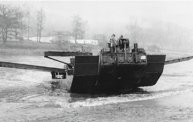 Amphibie